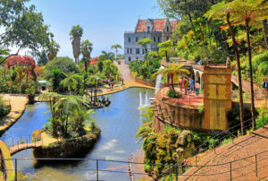 Tropischer Park Monte Palace mit Teich und Baumfarnen im Ortsteil Monte oberhalb der Stadt, Funchal, Insel Madeira, Portugal Tropischer Park Monte Palace mit Teich und Baumfarnen im Ortsteil Monte oberhalb der Stadt, Funchal, Insel Madeira, Portugal